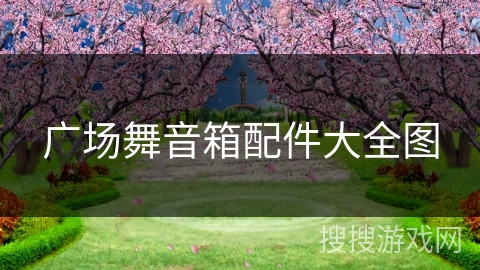 广场舞音箱配件大全图