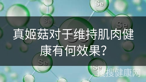 真姬菇对于维持肌肉健康有何效果？