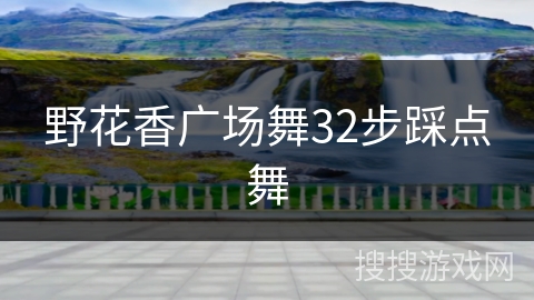 野花香广场舞32步踩点舞