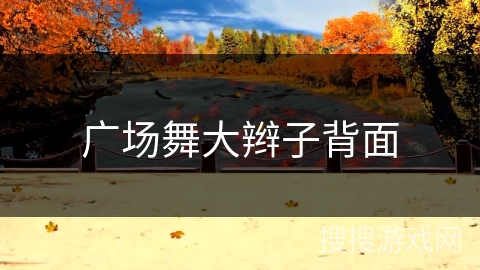 广场舞大辫子背面