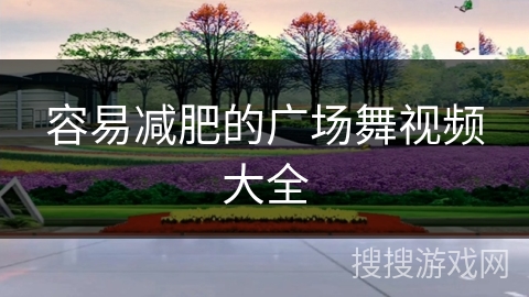 容易减肥的广场舞视频大全