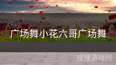 广场舞小花六哥广场舞