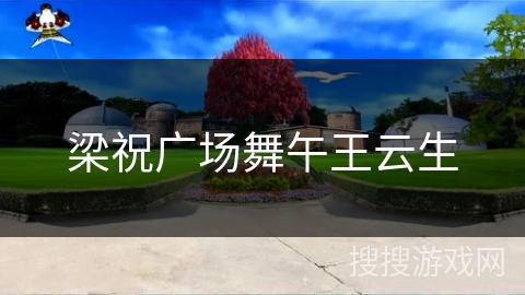 梁祝广场舞午王云生