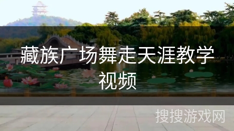 藏族广场舞走天涯教学视频