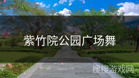 紫竹院公园广场舞