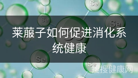 莱菔子如何促进消化系统健康