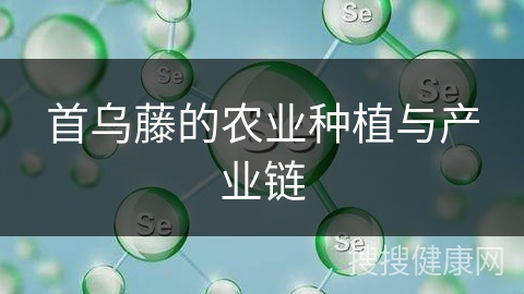 首乌藤的农业种植与产业链