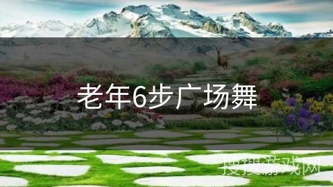 老年6步广场舞
