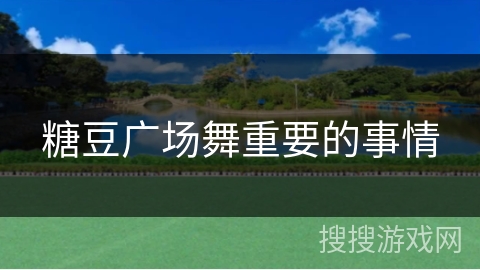 糖豆广场舞重要的事情