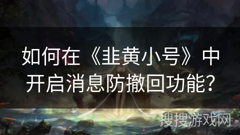 如何在《韭黄小号》中开启消息防撤回功能？