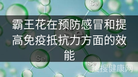 霸王花在预防感冒和提高免疫抵抗力方面的效能