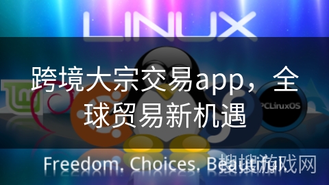 跨境大宗交易app，全球贸易新机遇