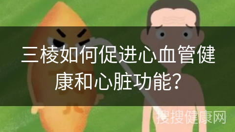 三棱如何促进心血管健康和心脏功能？