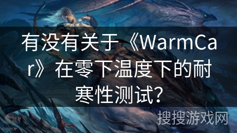 有没有关于《WarmCar》在零下温度下的耐寒性测试？