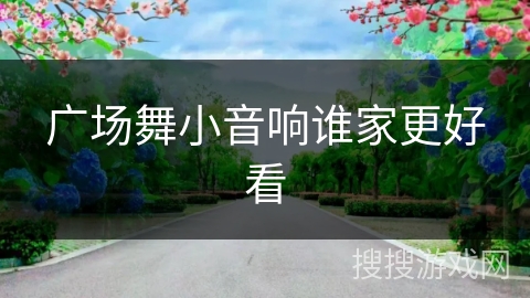 广场舞小音响谁家更好看