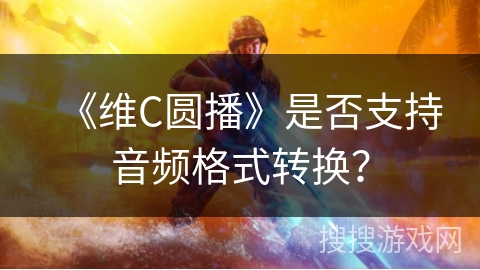 《维C圆播》是否支持音频格式转换？
