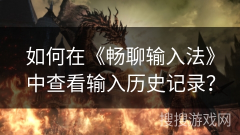 如何在《畅聊输入法》中查看输入历史记录？