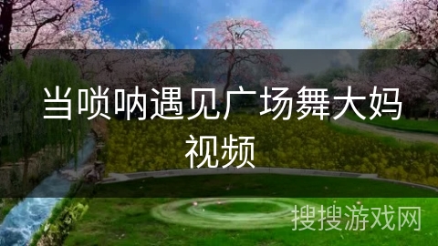 当唢呐遇见广场舞大妈视频