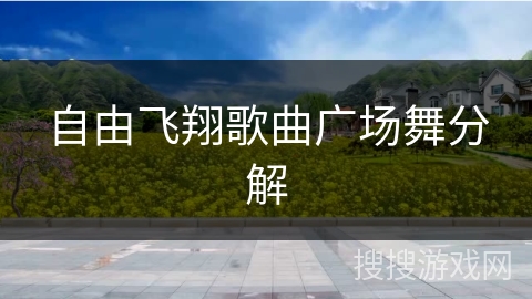 自由飞翔歌曲广场舞分解