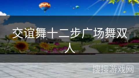 交谊舞十二步广场舞双人
