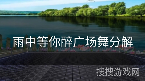 雨中等你醉广场舞分解 雨中等你醉广场舞分解