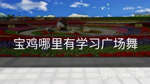 宝鸡哪里有学习广场舞