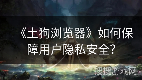 《土狗浏览器》如何保障用户隐私安全？