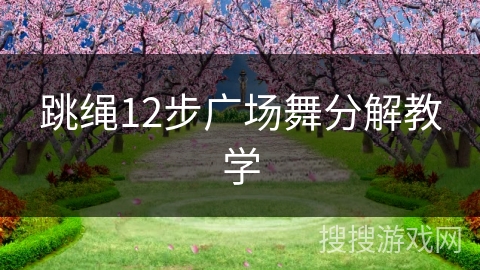 跳绳12步广场舞分解教学