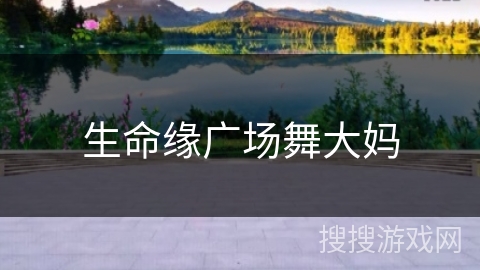 生命缘广场舞大妈