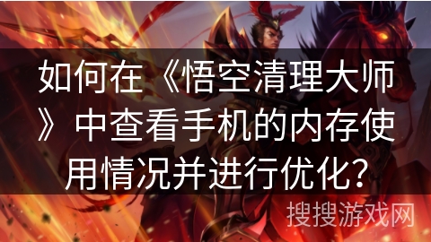如何在《悟空清理大师》中查看手机的内存使用情况并进行优化？