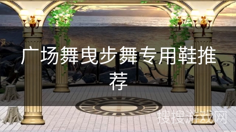 广场舞曳步舞专用鞋推荐