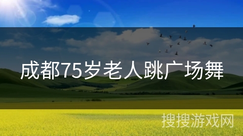 成都75岁老人跳广场舞