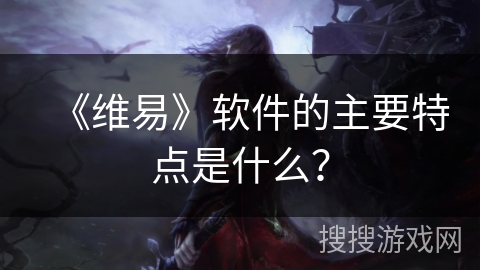 《维易》软件的主要特点是什么？