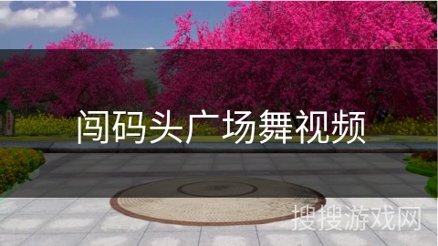 闯码头广场舞视频