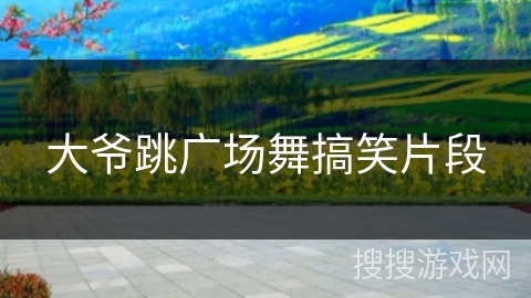 大爷跳广场舞搞笑片段