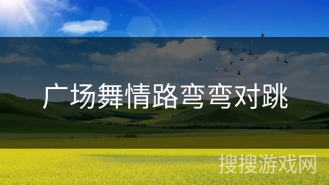 广场舞情路弯弯对跳