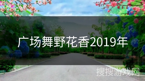 广场舞野花香2019年