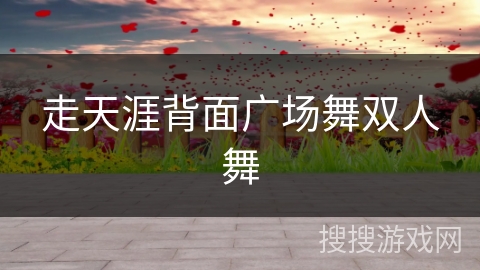走天涯背面广场舞双人舞