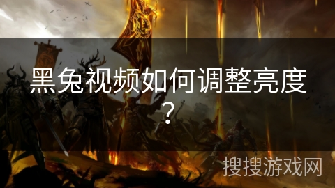 黑兔视频如何调整亮度？