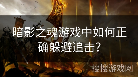 暗影之魂游戏中如何正确躲避追击？