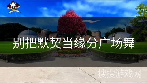 别把默契当缘分广场舞