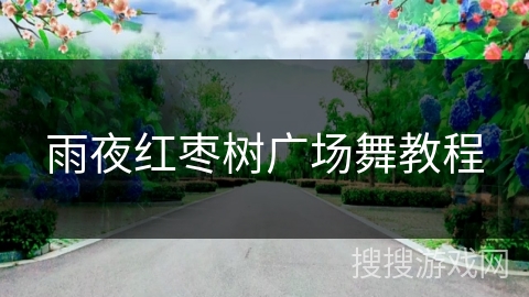 雨夜红枣树广场舞教程