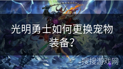 光明勇士如何更换宠物装备？