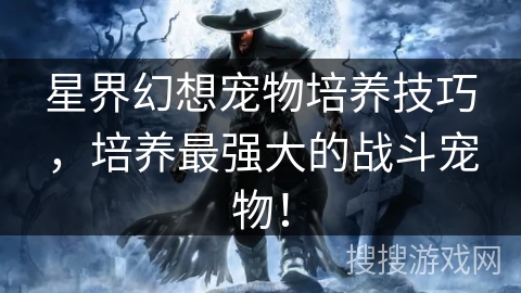 星界幻想宠物培养技巧，培养最强大的战斗宠物！