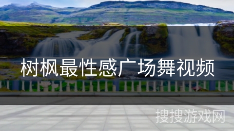 树枫最性感广场舞视频