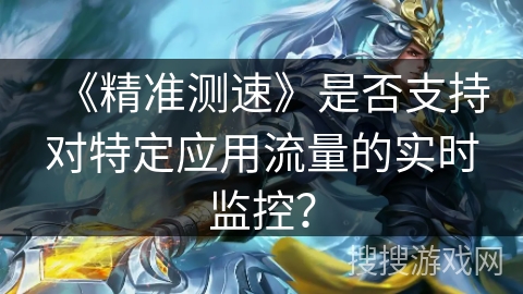 《精准测速》是否支持对特定应用流量的实时监控？