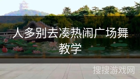 人多别去凑热闹广场舞教学