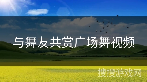 与舞友共赏广场舞视频