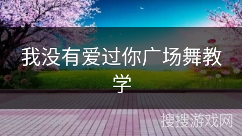 我没有爱过你广场舞教学