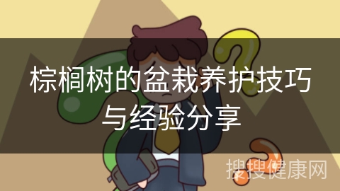 棕榈树的盆栽养护技巧与经验分享